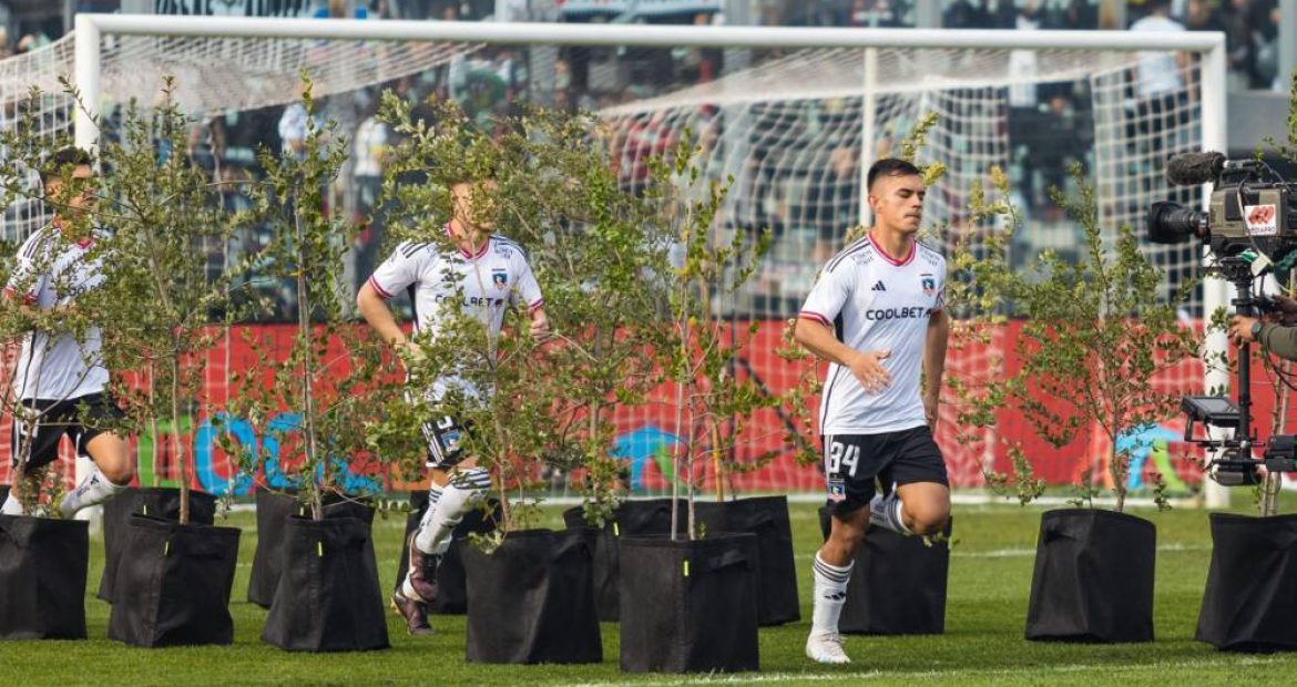 A Tree-Lined Path Welcomes Players: Colo Colo Aims to Become the First Carbon-Neutral Club