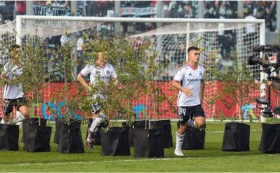 A Tree-Lined Path Welcomes Players: Colo Colo Aims to Become the First Carbon-Neutral Club